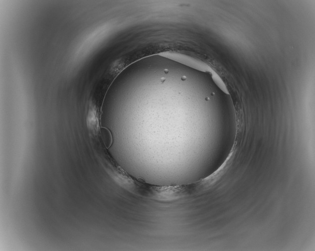 X0000113530191200909250913