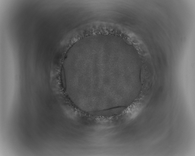 X0000113530192200909250913