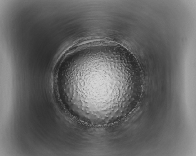 X0000113530194200909250912