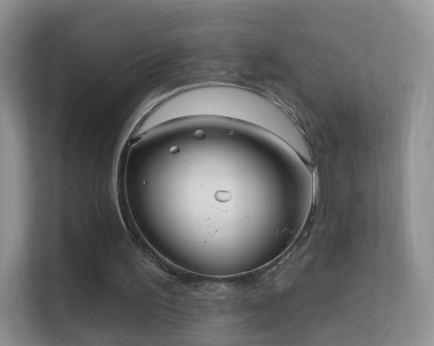 X0000113530195200909250912