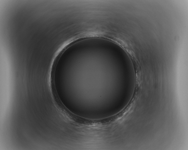 X0000113530196200909250912