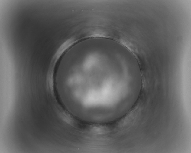 X0000113530199200909250912