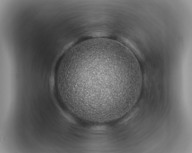 X0000113530202200909250912