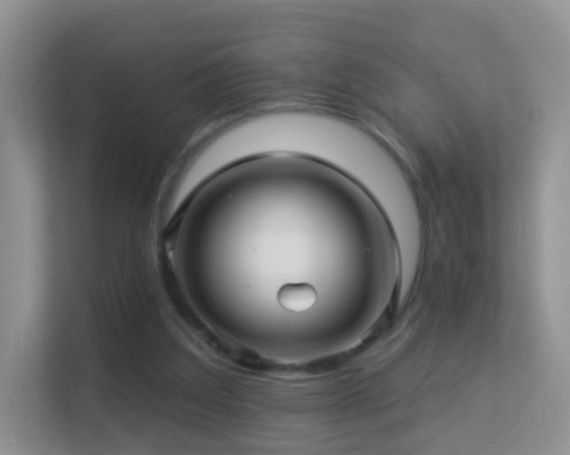 X0000113530203200909250912