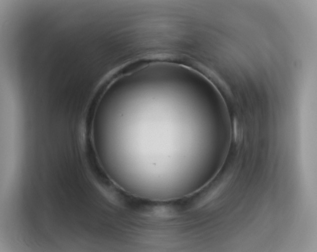 X0000113530204200909250912