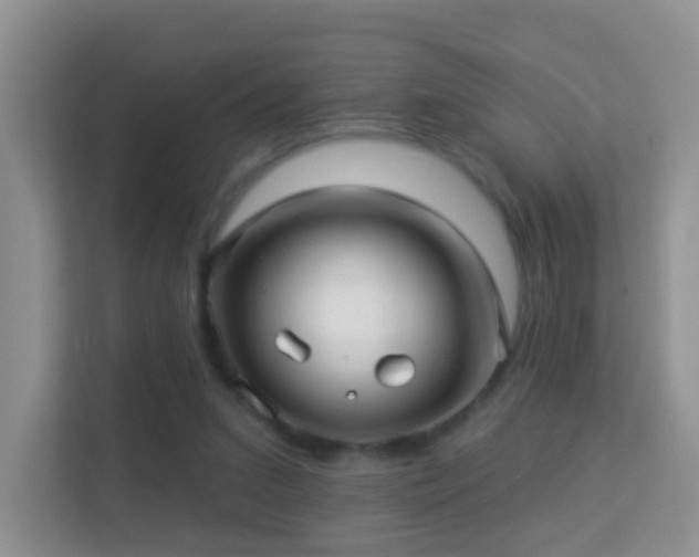 X0000113530207200909250912