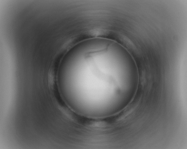 X0000113530210200909250912