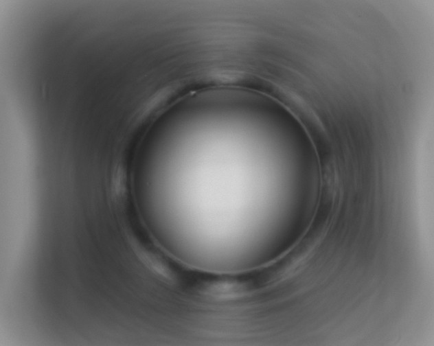 X0000113530212200909250912