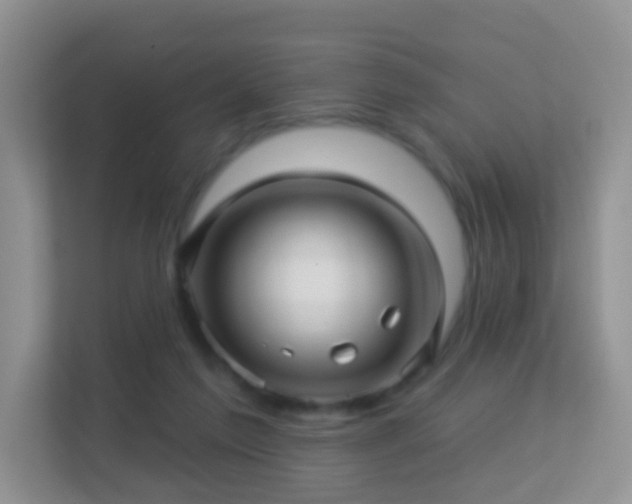 X0000113530213200909250912