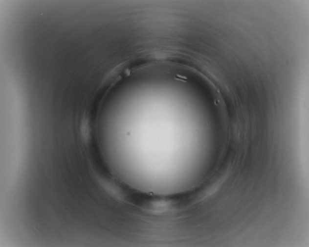 X0000113530216200909250912