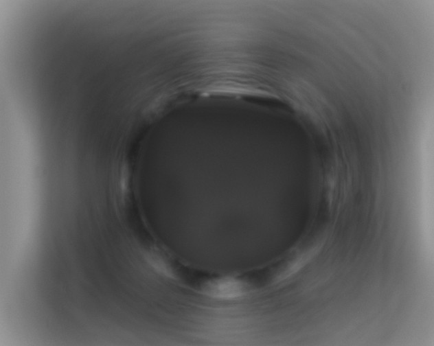 X0000113530219200909250912