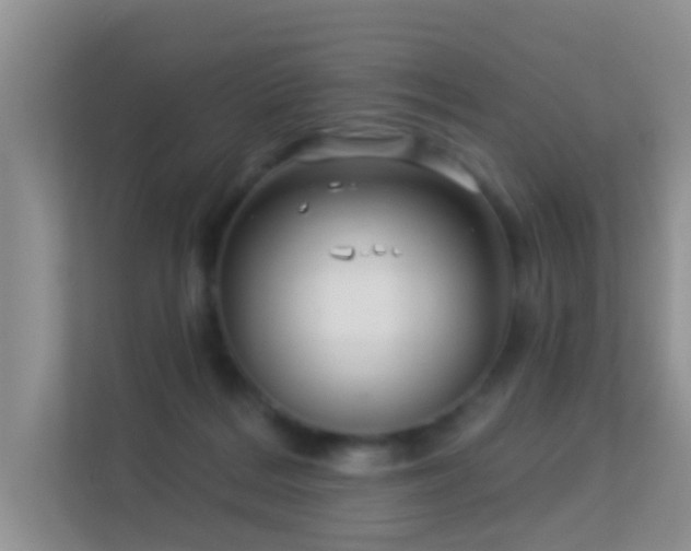 X0000113530220200909250912