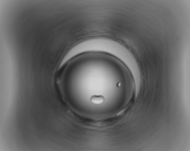 X0000113530221200909250912