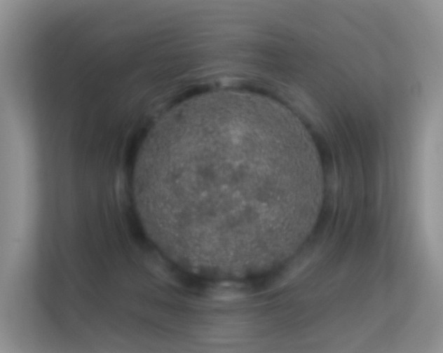 X0000113530222200909250912