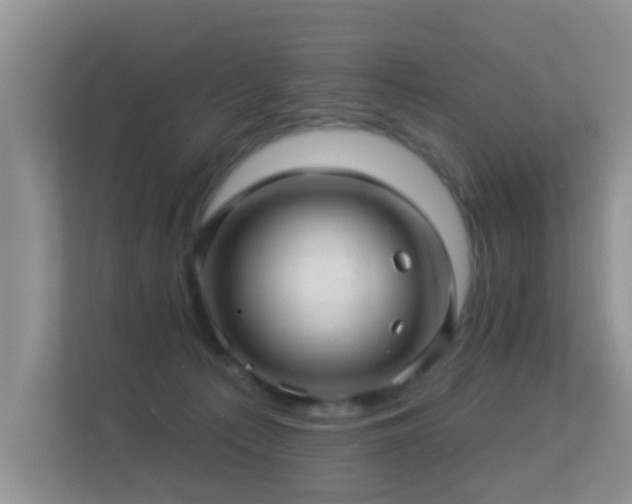 X0000113530225200909250912