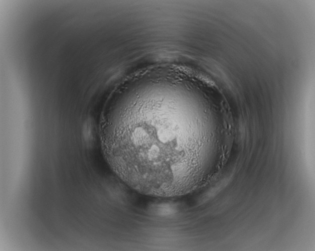 X0000113530228200909250912