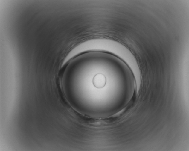 X0000113530229200909250912