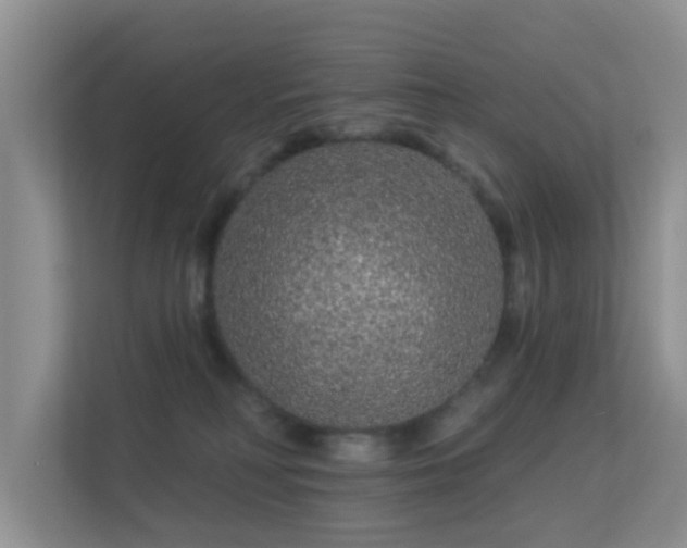 X0000113530230200909250912