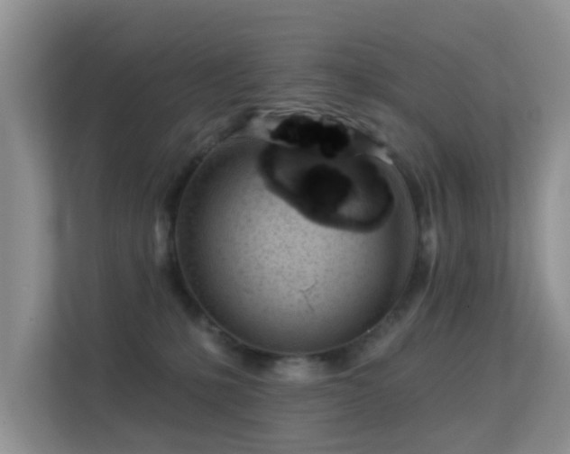 X0000113530231200909250912