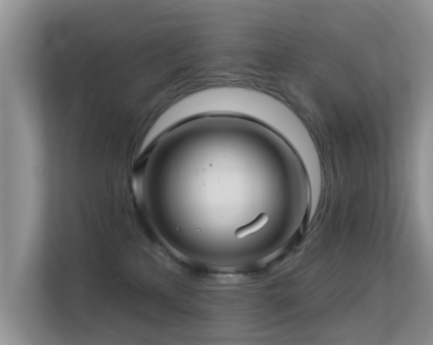 X0000113530233200909250912