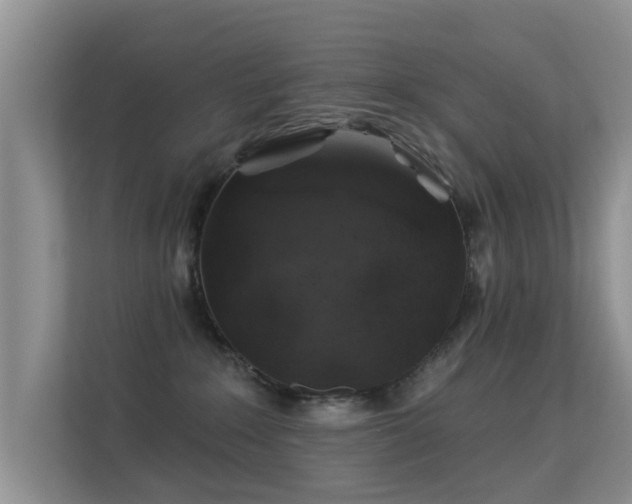 X0000113530235200909250912