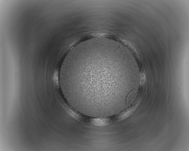 X0000113530238200909250912