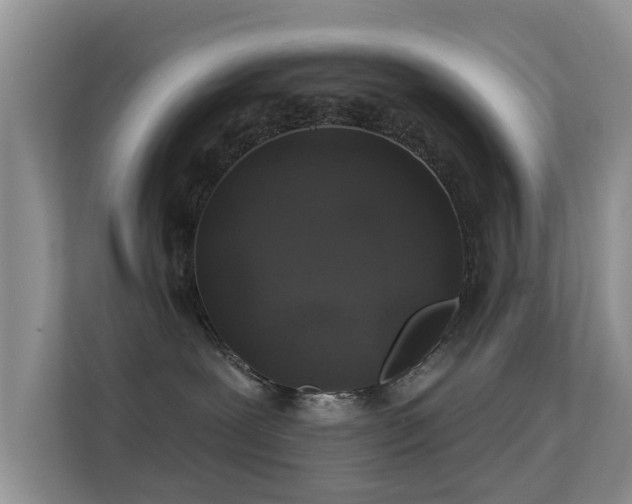 X0000113530239200909250912