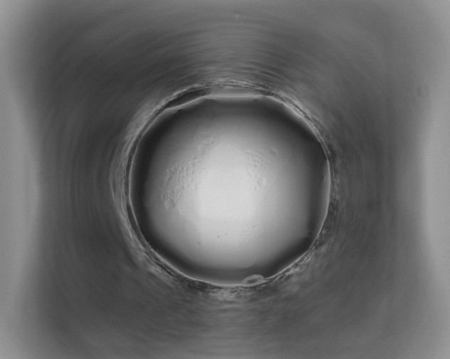 X0000113530241200909250911