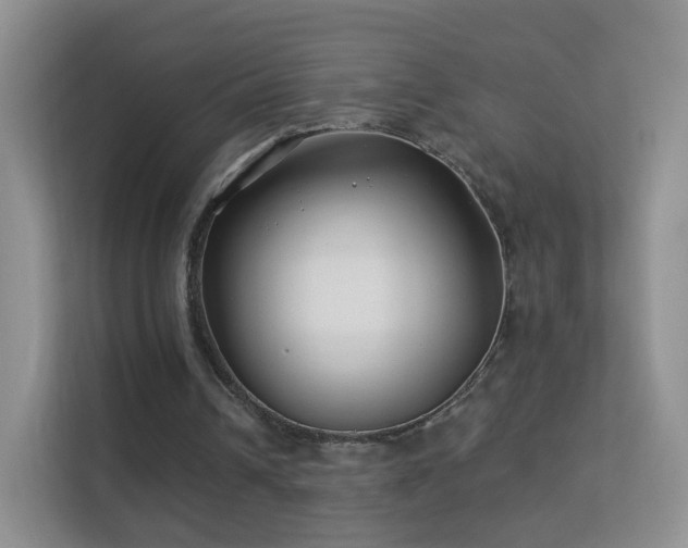 X0000113530242200909250911