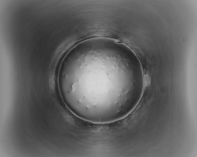 X0000113530243200909250911