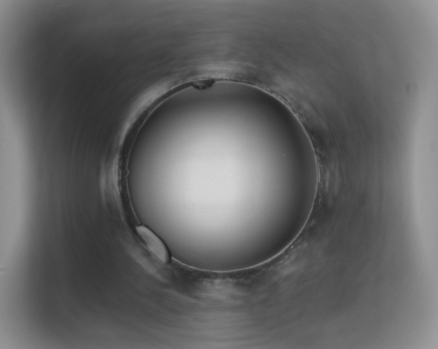 X0000113530244200909250911