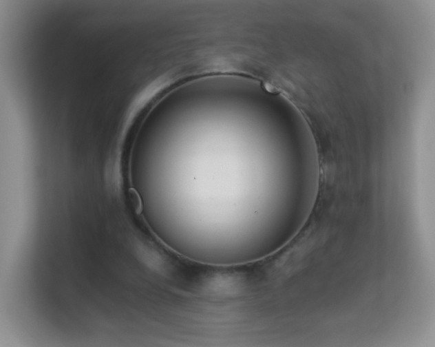 X0000113530248200909250911