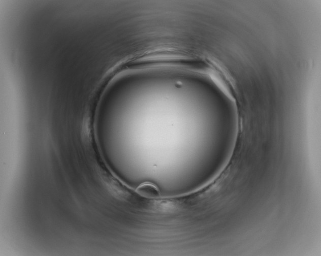 X0000113530249200909250911