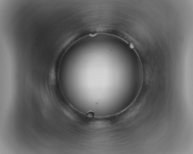 X0000113530251200909250911