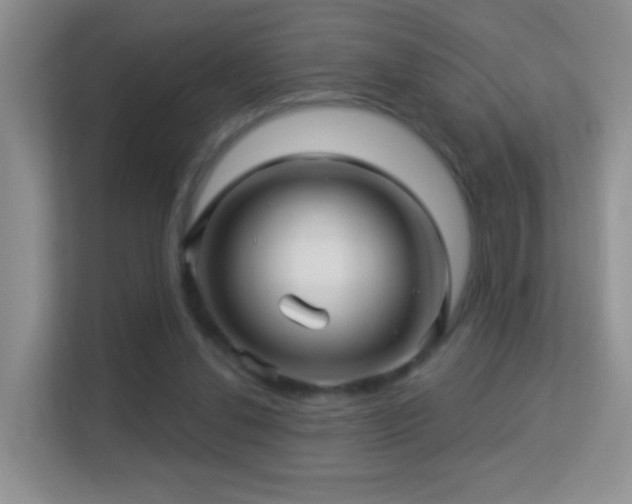 X0000113530252200909250911