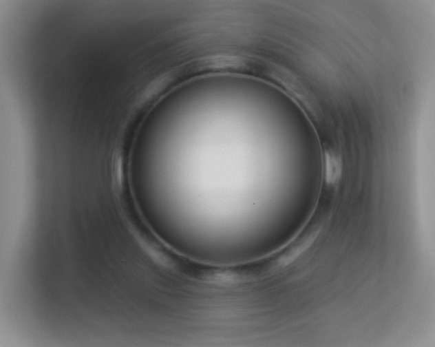 X0000113530253200909250911