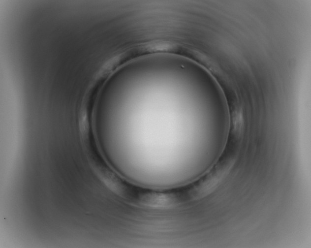 X0000113530254200909250911