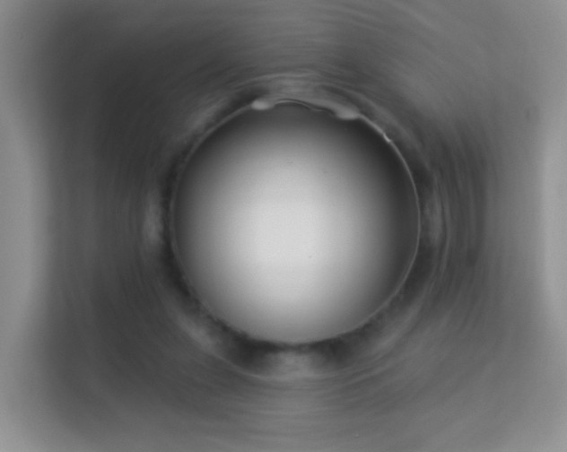 X0000113530255200909250911