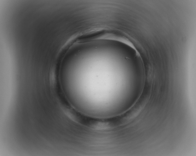 X0000113530256200909250911