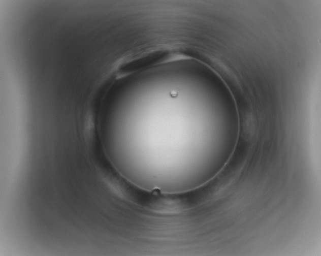 X0000113530260200909250912