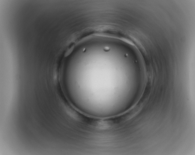 X0000113530261200909250912