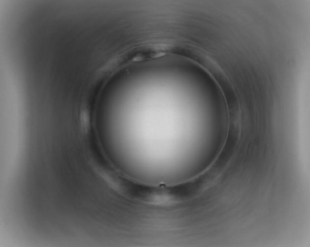 X0000113530262200909250912