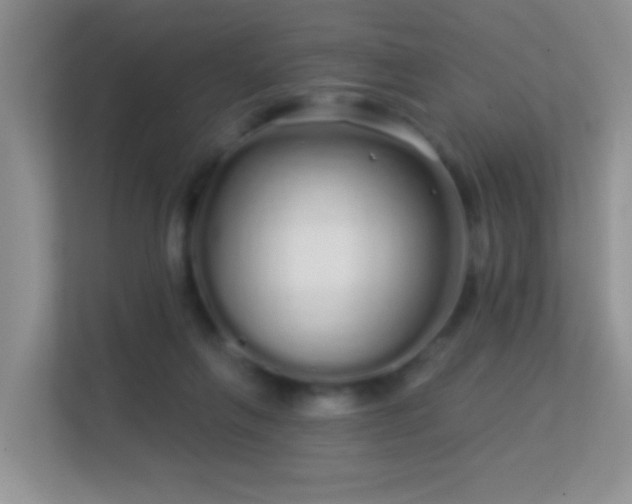 X0000113530263200909250912