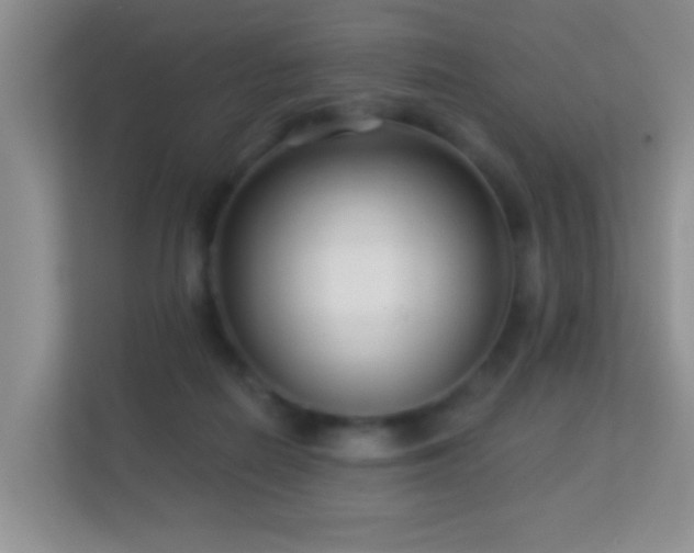 X0000113530266200909250912