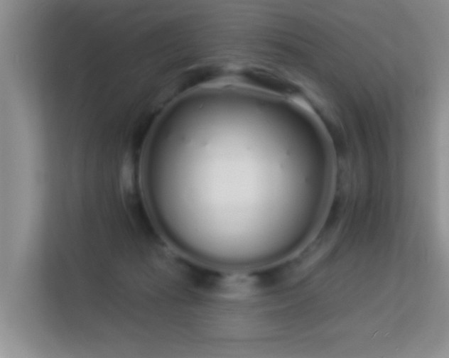 X0000113530269200909250912