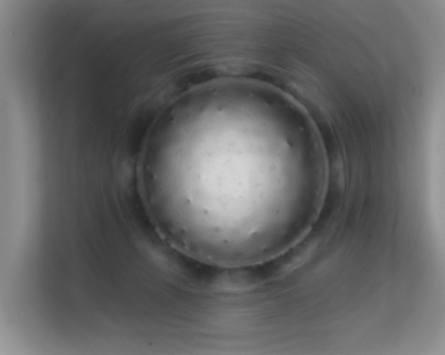 X0000113530271200909250912