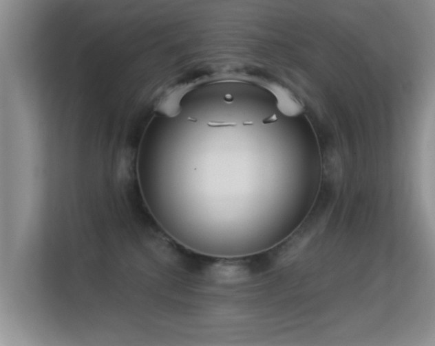 X0000113530280200909250912