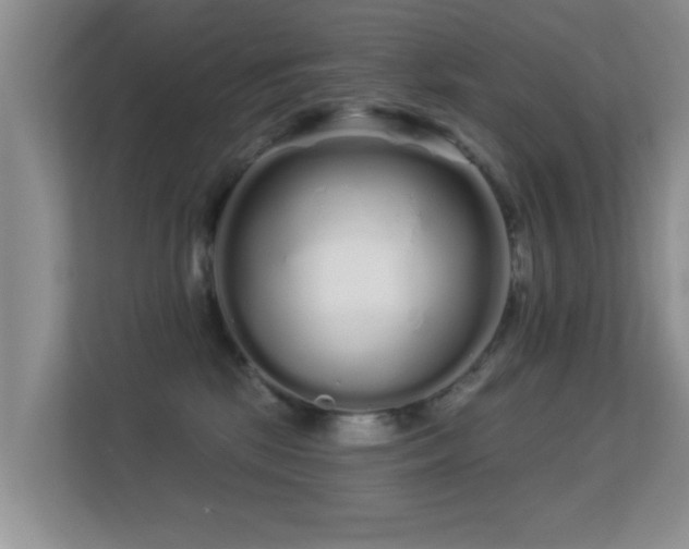 X0000113530281200909250912