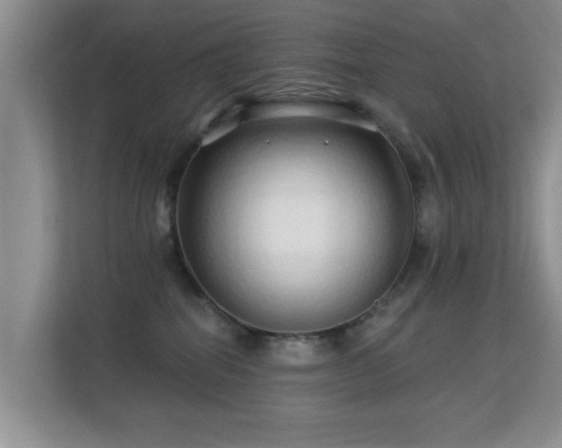 X0000113530282200909250912