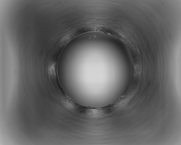 X0000113530286200909250912